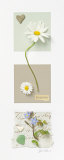 Buy Simplicity at AllPosters.com