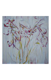 Dried Flowers