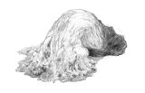 Abstract Creature with Black Grain