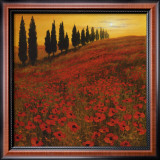 Buy Poppies at AllPosters.com