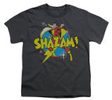 Youth: DC Comics - Shazam! - Power Bolt