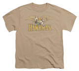Youth: DC Comics - Hawkman