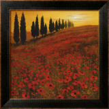Buy Poppies at AllPosters.com