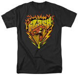 Buy DC Comics - The Flash - Blazing Speed at AllPosters.com