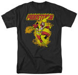 DC Comics - Firestorm