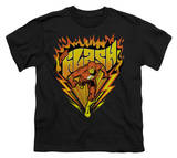Buy Youth: DC Comics - The Flash - Blazing Speed at AllPosters.com