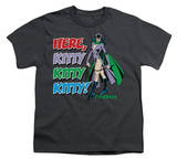 Youth: DC Comics - Catwoman - Here, Kitty