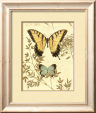 Nature's Curiosities VI