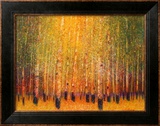 Aspen Glow