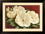 Magnolia Crimson I