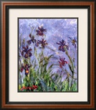 Buy Irises at AllPosters.com