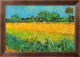 View of Arles with Irises