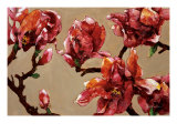 Elegant Magnolia