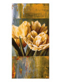 Buy Floral Radiance II at AllPosters.com