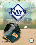2008 Tampa Bay Rays Team Logo Photo