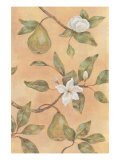 Southern Charm II