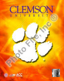 2008 Clemson University Team Logo