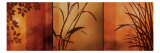 Buy Views of Nature II at AllPosters.com