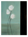 Buy Aqua Breeze II at AllPosters.com