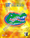 University of Florida Gators 2008 Logo