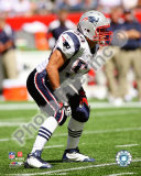 Tedy Bruschi 2008
