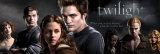 Buy Twilight at AllPosters.com