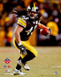 Troy Polamalu 2008 AFC Championship