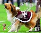 Reveille VII Texas A&M Aggies Mascot 2005