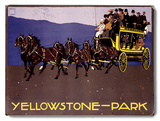 Yellowstone Park Carriage