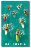 California Surfer