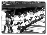 1937 World Series New York Yankees