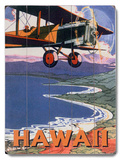 Hawaii Sight Seeing by Air Wood Sign