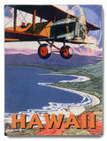 Hawaii Sight Seeing by Air