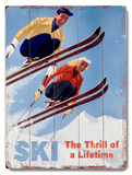 Ski - The thrill of a Lifetime