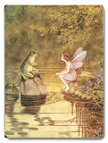 Fairy & Frog