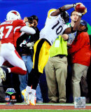 Santonio Holmes- Super Bowl XLIII
