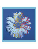Daisy, c.1982(blue on blue)