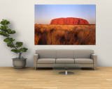 Buy Ayers Rock, Uluru-Kata Tjuta National Park, Australia at AllPosters.com
