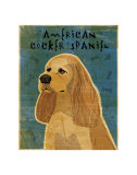 American Cocker Spaniel I