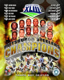 2008 Pittsburgh Steelers SuperBowl XLIII Champions