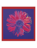Daisy, c.1982(blue and red)