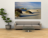 Buy Desert Plants in White Sands National Monument, New Mexico, USA at AllPosters.com