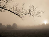 Buy Parish Hill Sunrise at AllPosters.com