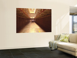 Buy Cell Block in a Prison, Alcatraz Island, San Francisco, California, USA at AllPosters.com