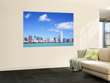 Skyline, Chicago, Illinois, USA