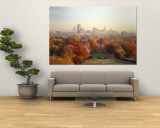 Autumn Trees in a City, Hartford, Connecticut, USA