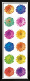 Buy Pop Art Daisy at AllPosters.com