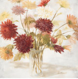 Casual Chrysanthemum