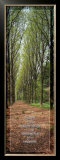Buy Serenity Prayer at AllPosters.com