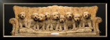 Golden Pup Line-Up